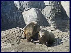 L'Oceanogràfic Oceanarium 128